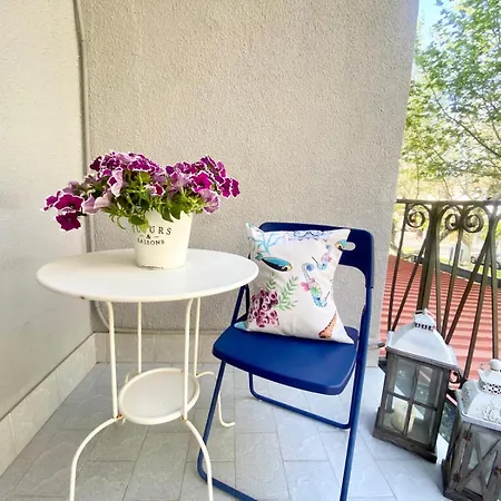 酒店 Praja Mare 3*