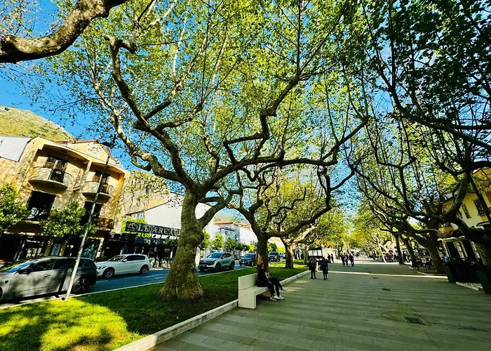 Praja Mare 酒店 普拉亚·阿马勒